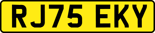 RJ75EKY