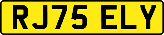 RJ75ELY