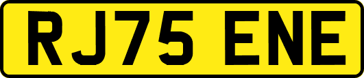 RJ75ENE