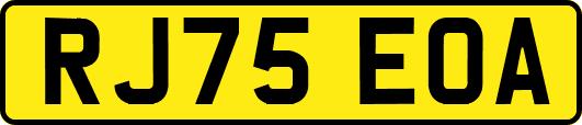 RJ75EOA