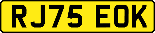 RJ75EOK