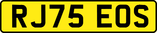 RJ75EOS