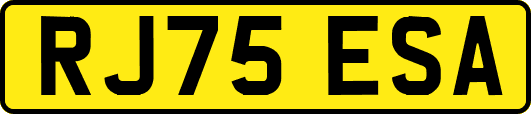 RJ75ESA