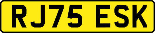 RJ75ESK