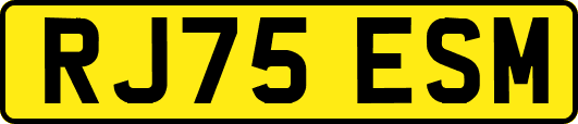 RJ75ESM