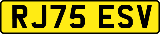 RJ75ESV