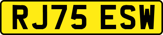 RJ75ESW
