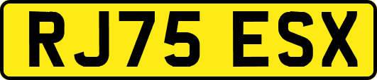 RJ75ESX