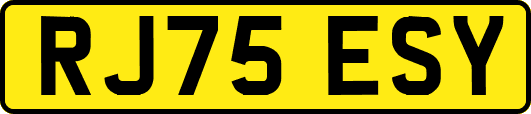 RJ75ESY