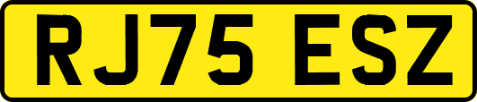 RJ75ESZ