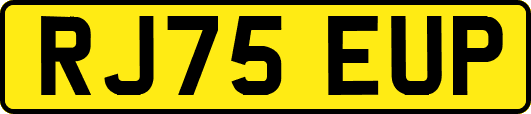 RJ75EUP