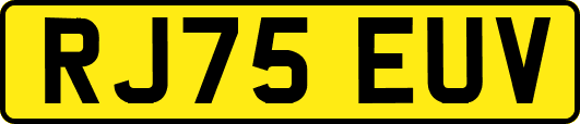 RJ75EUV