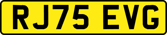 RJ75EVG