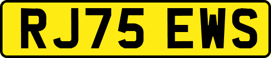 RJ75EWS