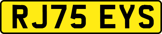 RJ75EYS