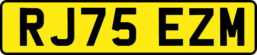 RJ75EZM