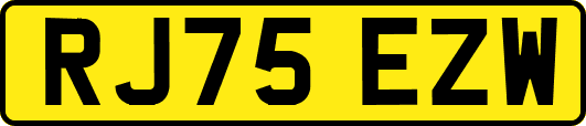 RJ75EZW