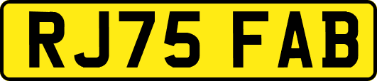 RJ75FAB