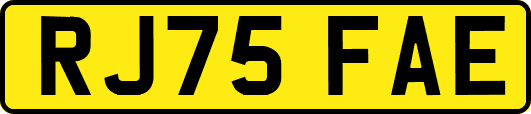 RJ75FAE