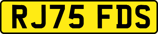 RJ75FDS