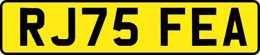 RJ75FEA