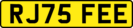 RJ75FEE