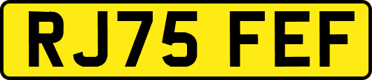 RJ75FEF