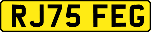 RJ75FEG