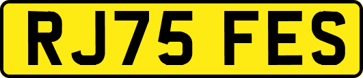 RJ75FES