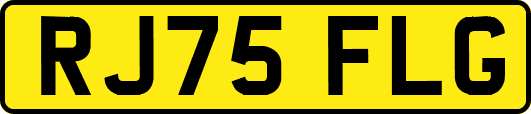 RJ75FLG