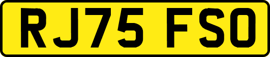 RJ75FSO