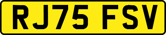 RJ75FSV