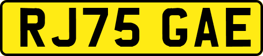 RJ75GAE