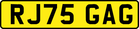 RJ75GAG