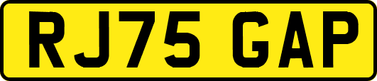RJ75GAP