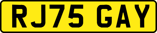 RJ75GAY