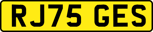 RJ75GES
