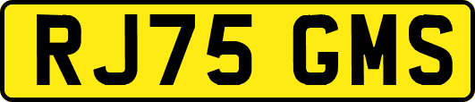 RJ75GMS