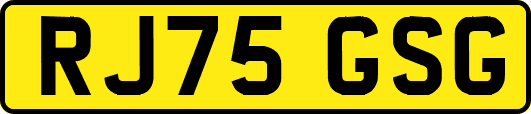 RJ75GSG