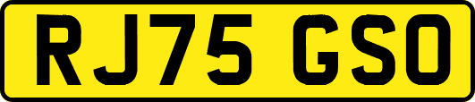 RJ75GSO