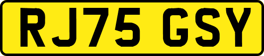 RJ75GSY