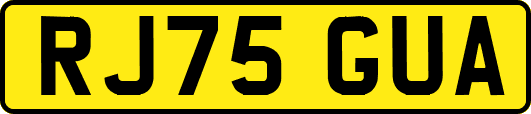 RJ75GUA