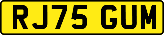 RJ75GUM