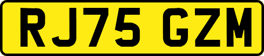 RJ75GZM