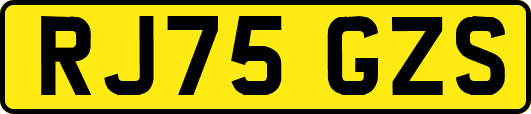 RJ75GZS