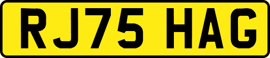 RJ75HAG