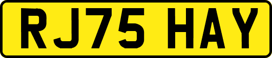 RJ75HAY