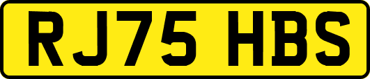 RJ75HBS