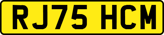 RJ75HCM