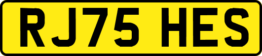 RJ75HES